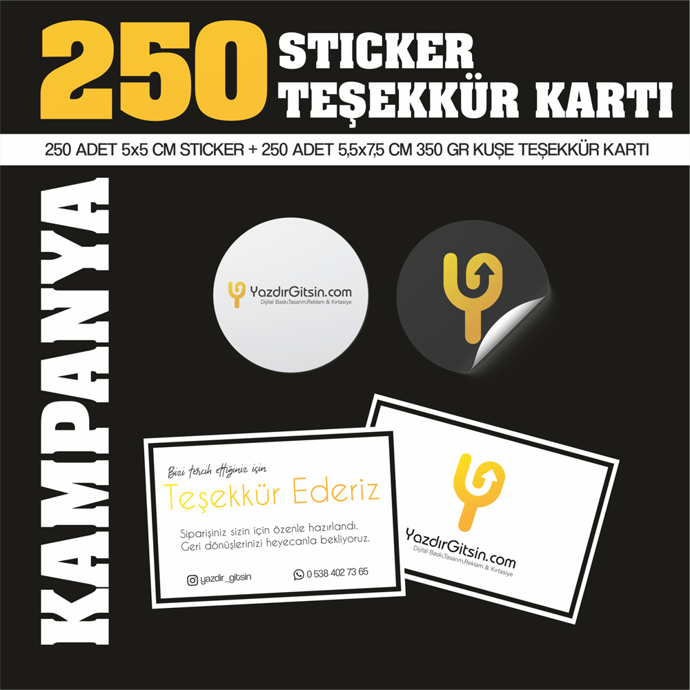 250 Stickers and Thank You Cards