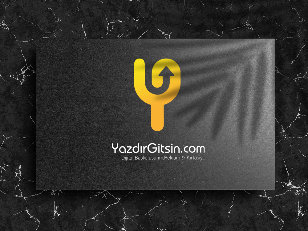 Design a Professional Logo
