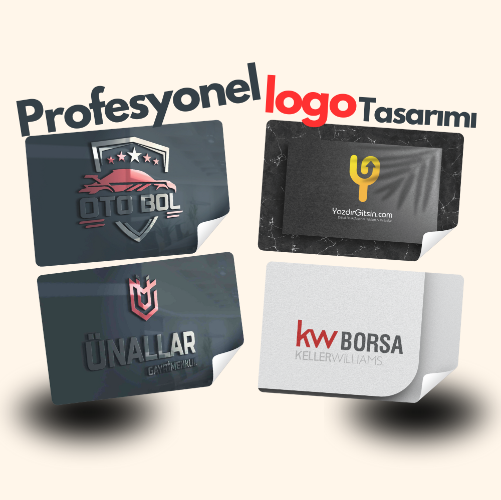 Design a Professional Logo
